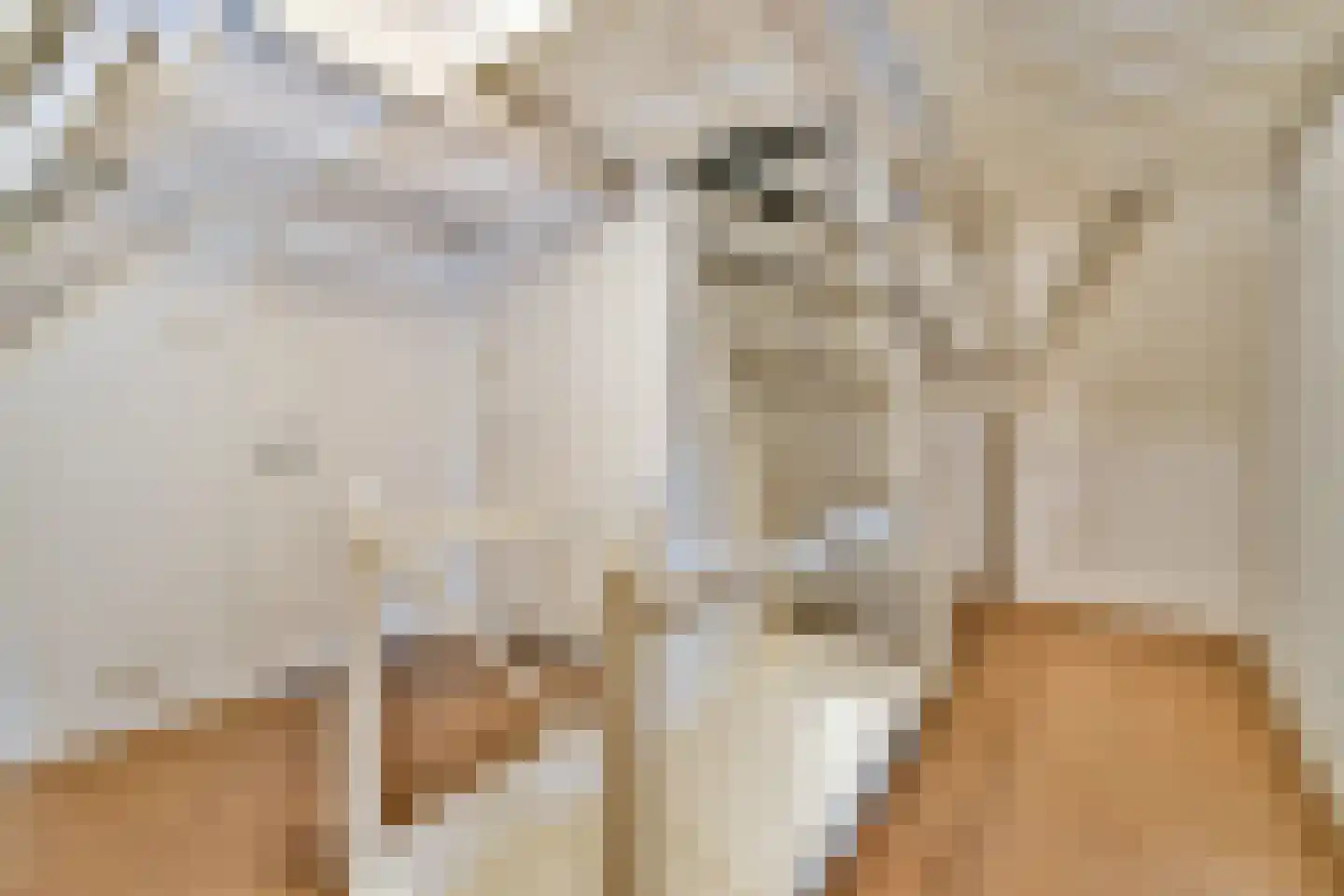 Nieuwe Mare 27 Leiden thumbnail 17