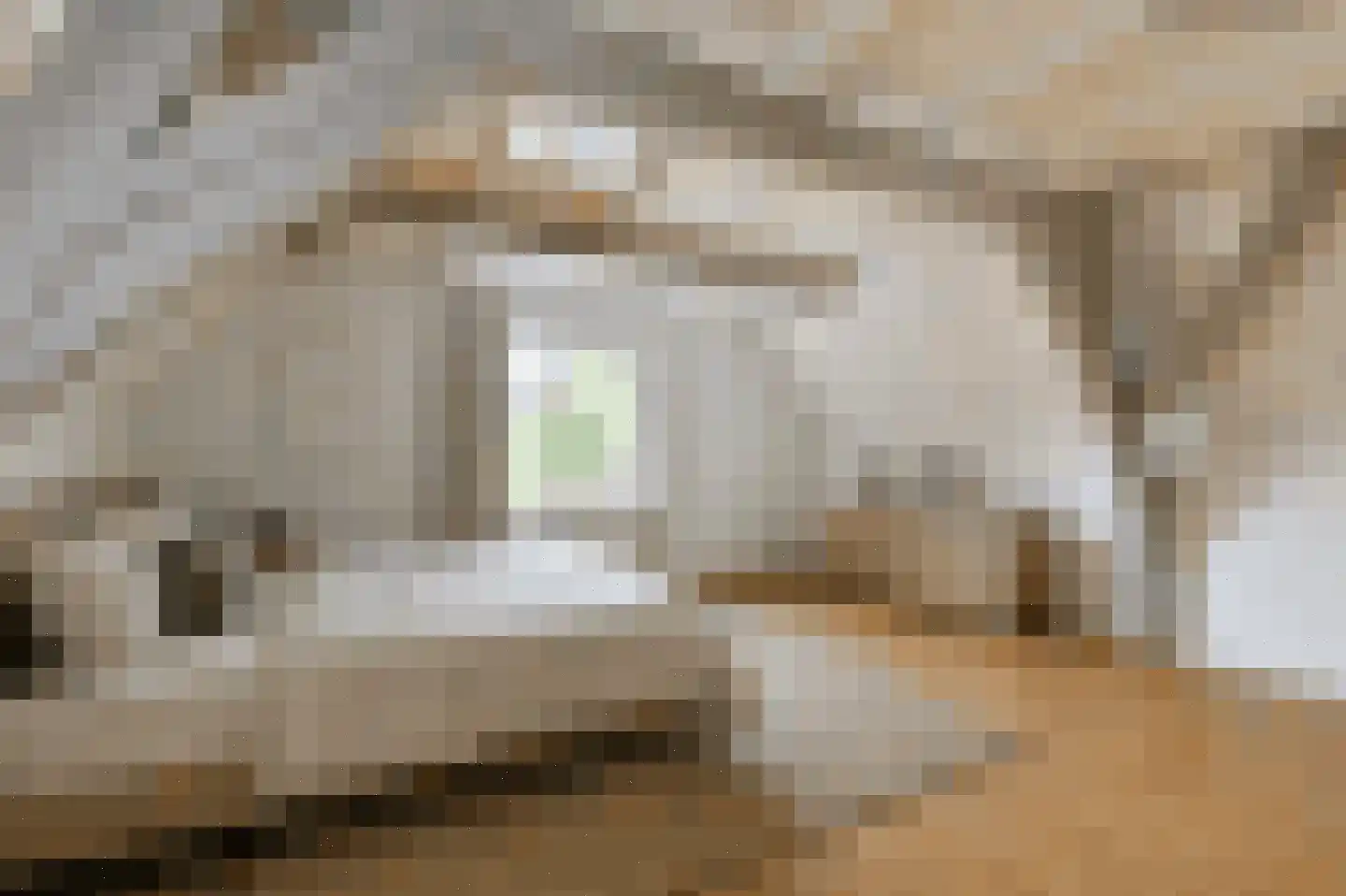 Nieuwe Mare 27 Leiden thumbnail 19