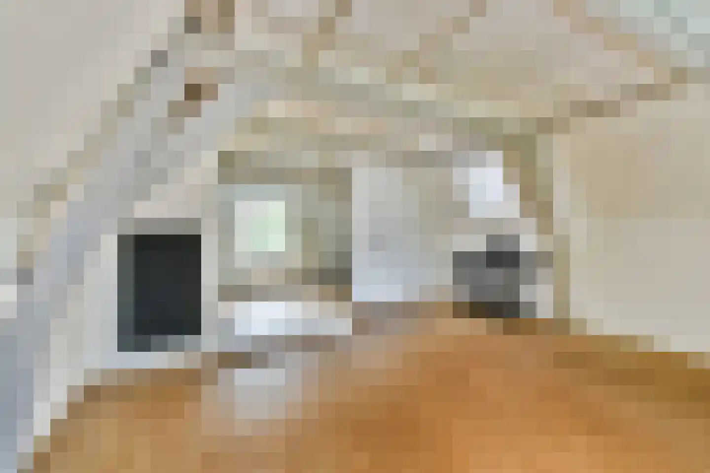 Nieuwe Mare 27 Leiden thumbnail 20