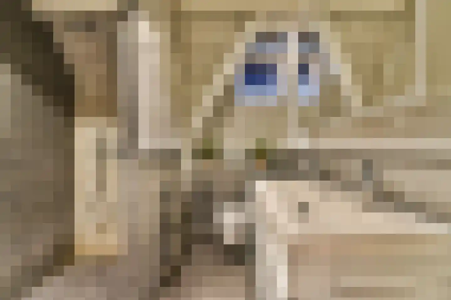 Nieuwe Mare 27 Leiden thumbnail 21