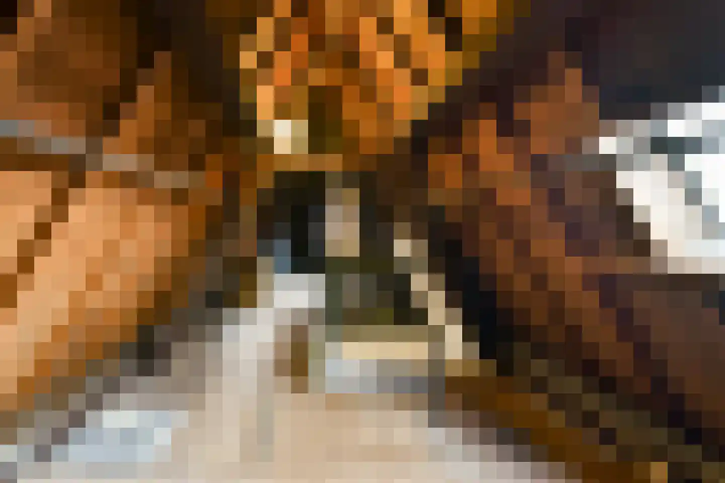 Nieuwe Mare 27 Leiden thumbnail 24