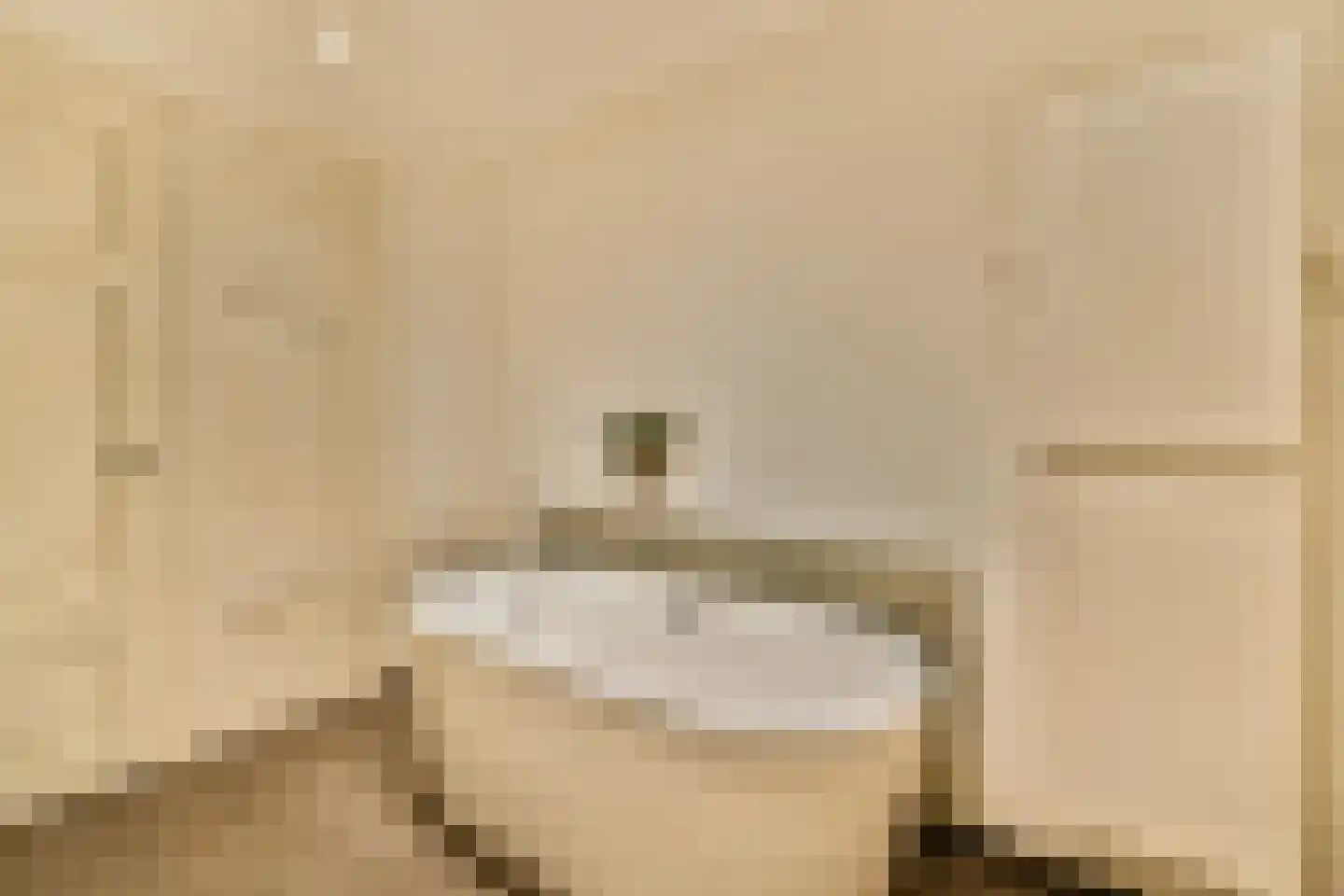 Nieuwe Mare 27 Leiden thumbnail 4