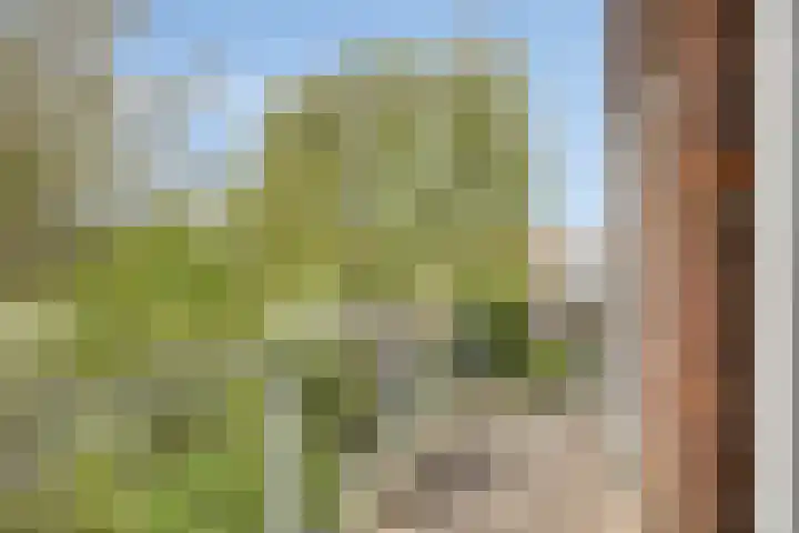 Nieuwe Mare 35 Leiden thumbnail 13