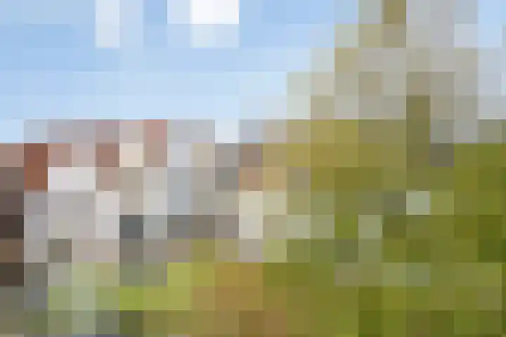 Nieuwe Mare 35 Leiden thumbnail 14