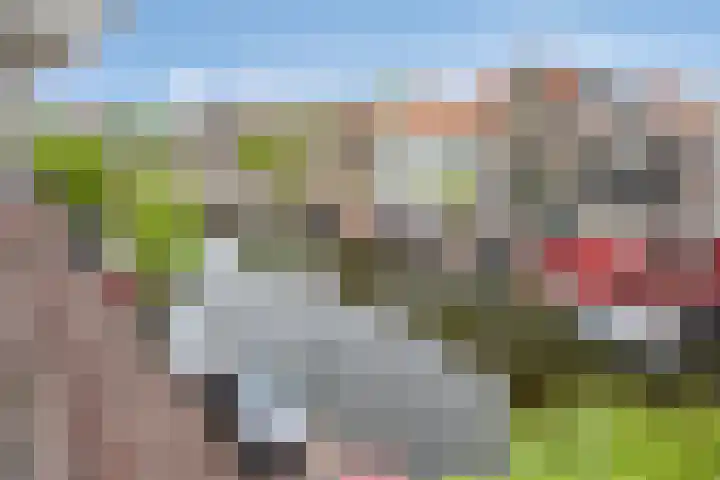 Nieuwe Mare 35 Leiden thumbnail 27