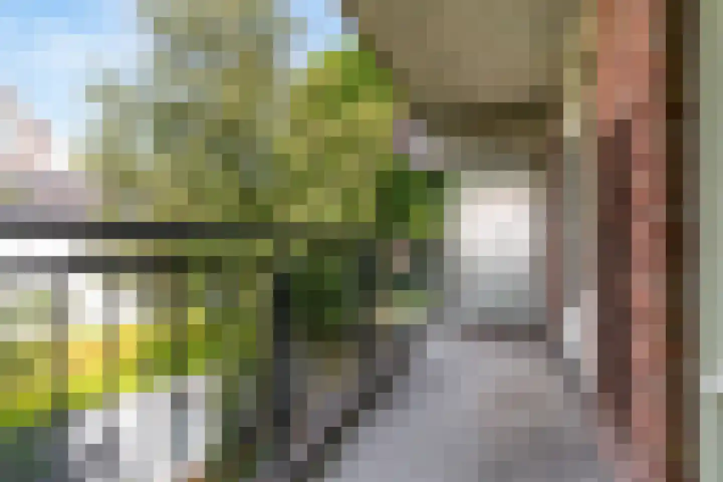 Nieuwe Mare 43 Leiden thumbnail 18