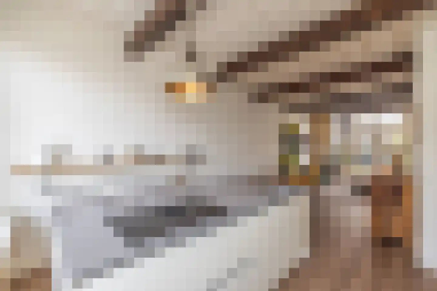 Nieuwe Mare 7 Leiden thumbnail 15