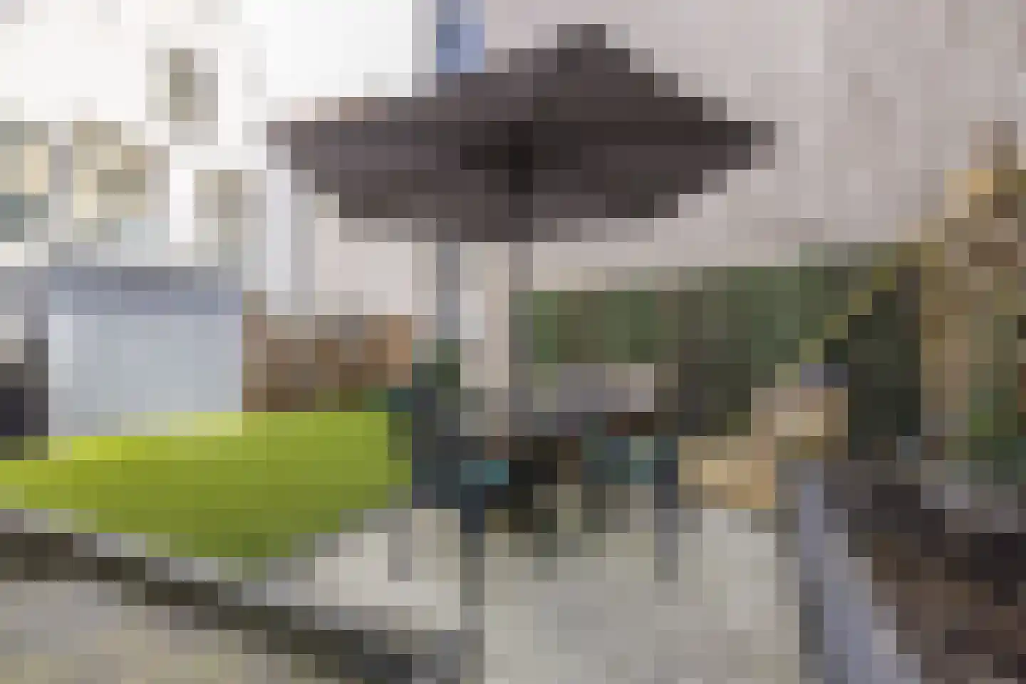 Nieuwe Mare 7 Leiden thumbnail 30