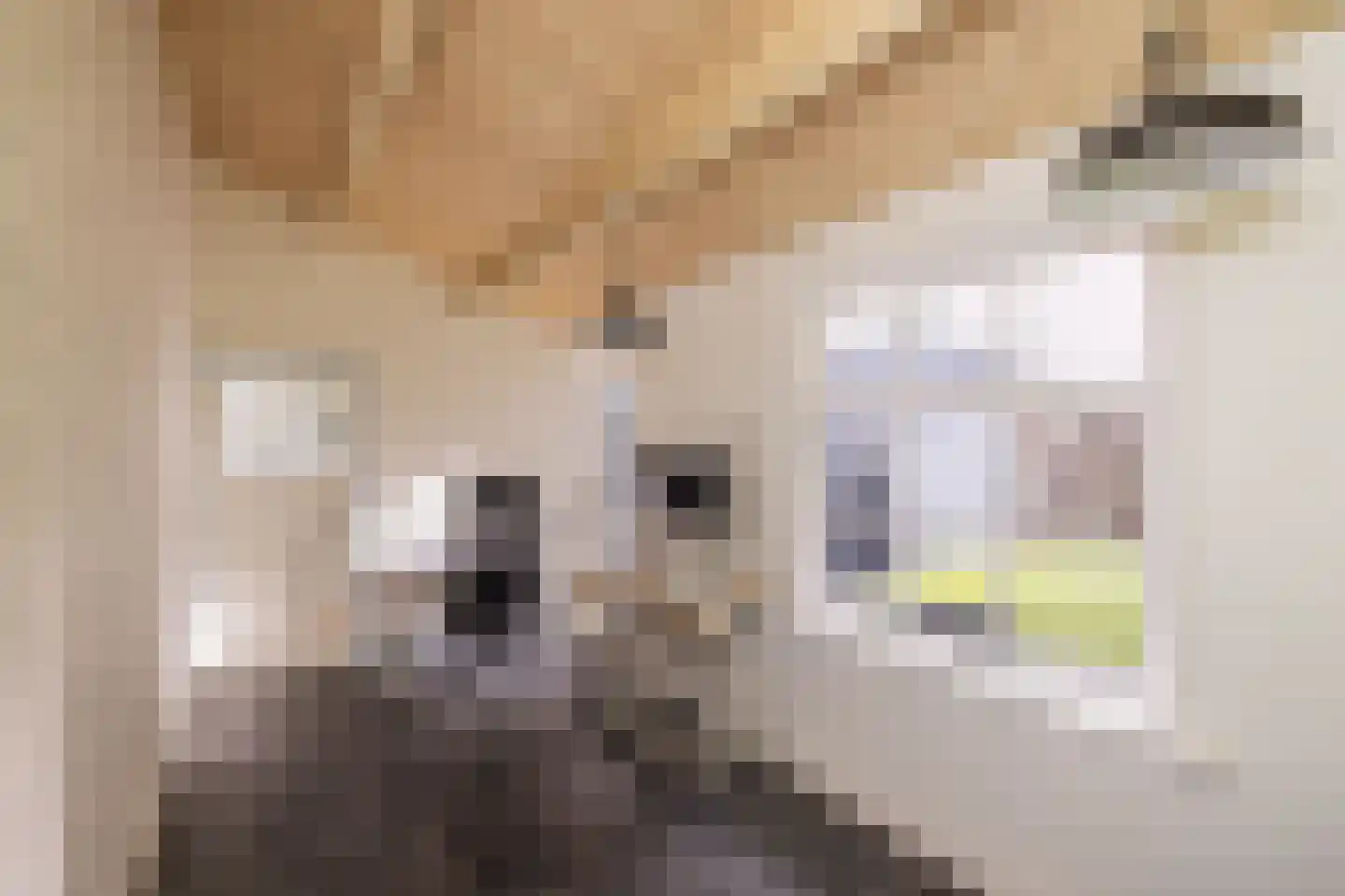 Nieuwe Mare 7 Leiden thumbnail 36