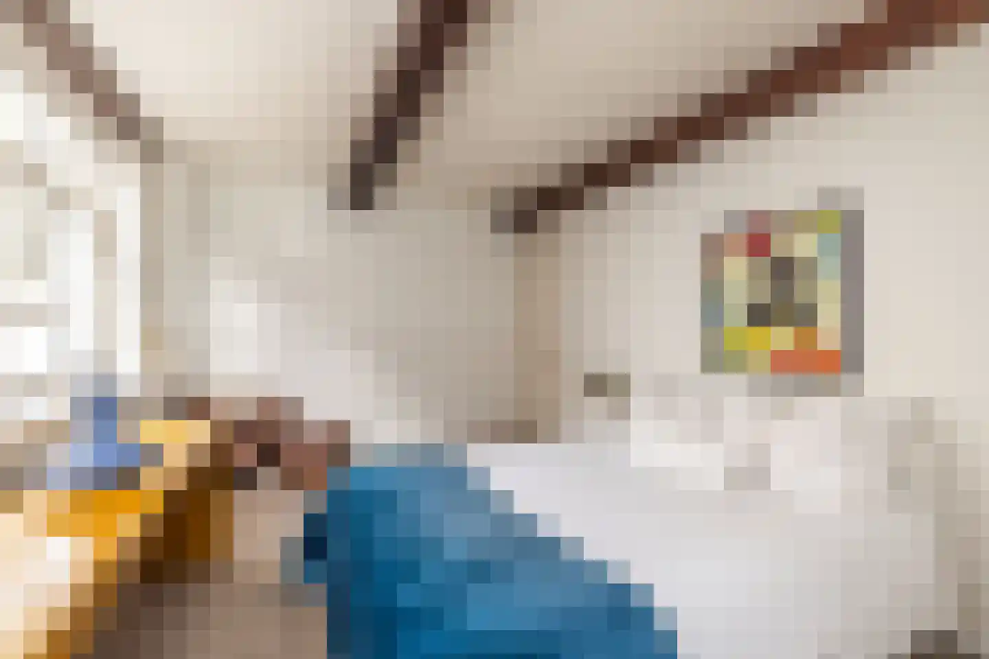 Nieuwe Mare 7 Leiden thumbnail 46