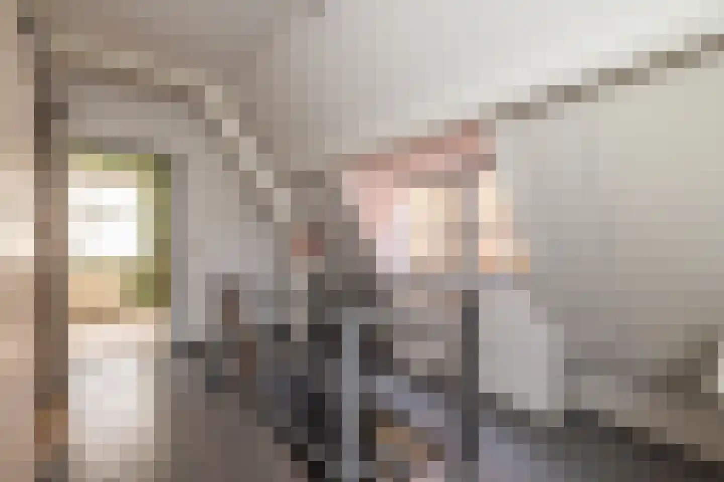 Nieuwe Mare 7 Leiden thumbnail 48