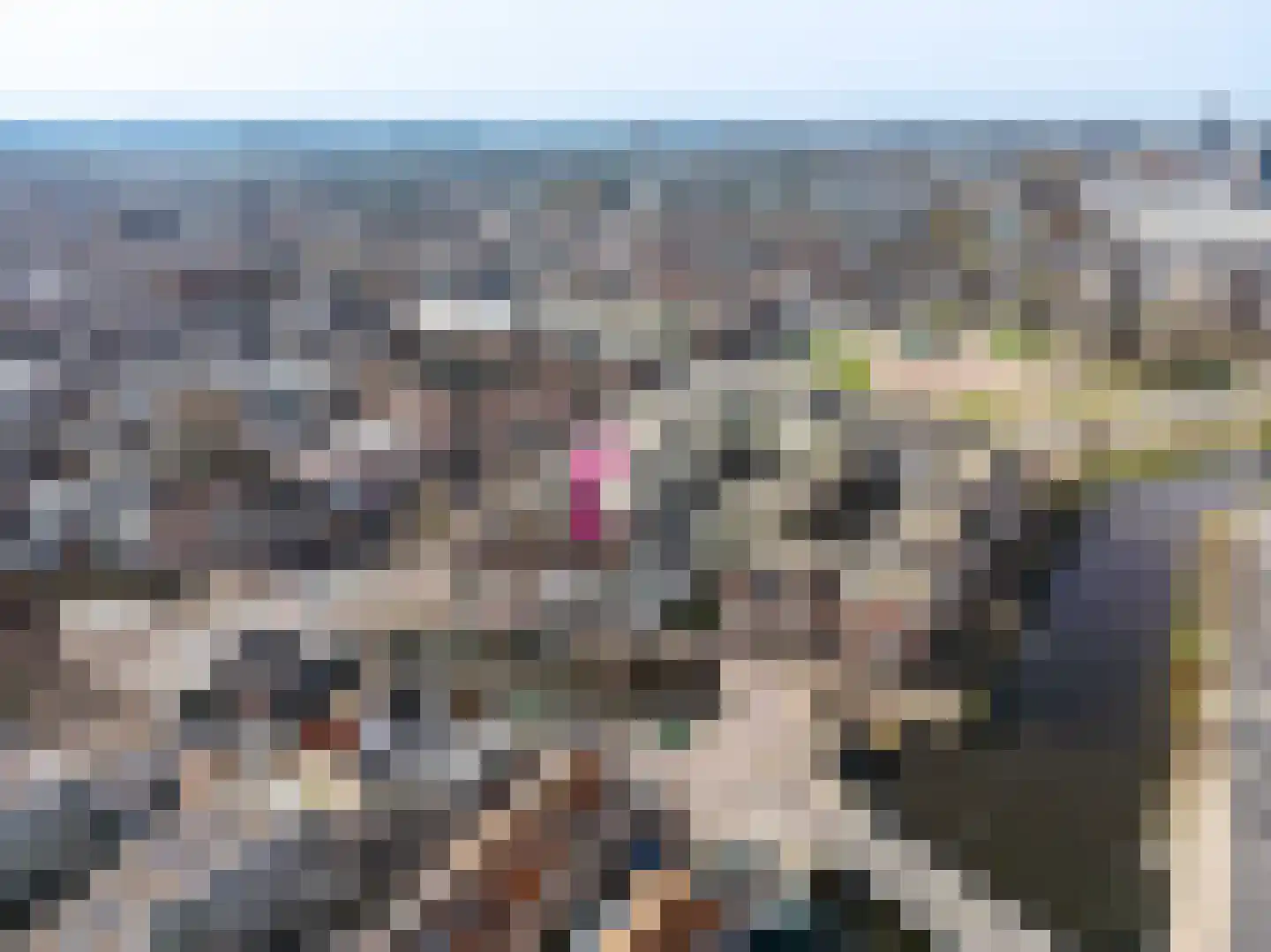 Nieuwe Mare 7 Leiden thumbnail 63