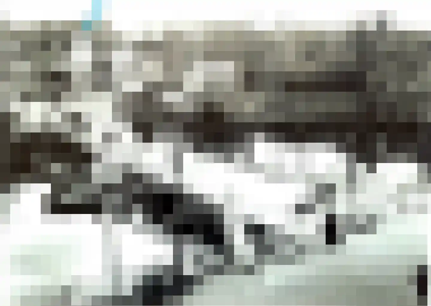 Nieuwe Mare 7 Leiden thumbnail 84