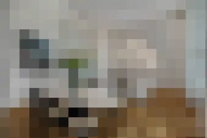 Nieuwe Markt 1 D Zwolle thumbnail 10