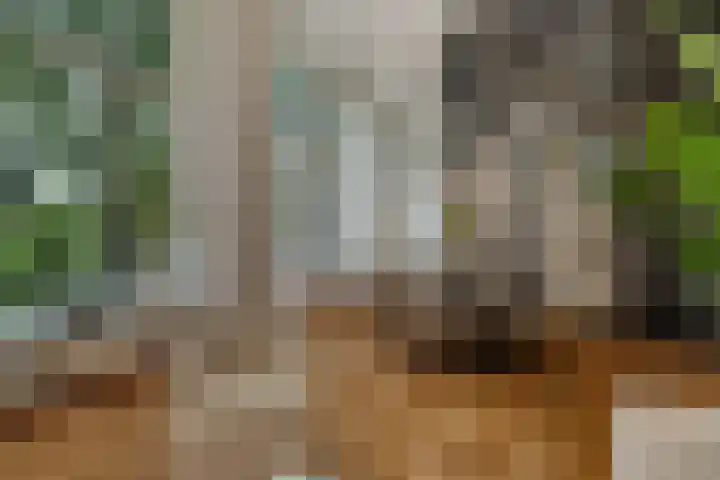 Nieuwe Markt 1 D Zwolle thumbnail 11