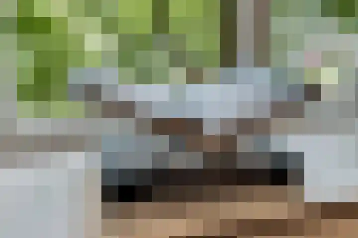 Nieuwe Markt 1 D Zwolle thumbnail 12