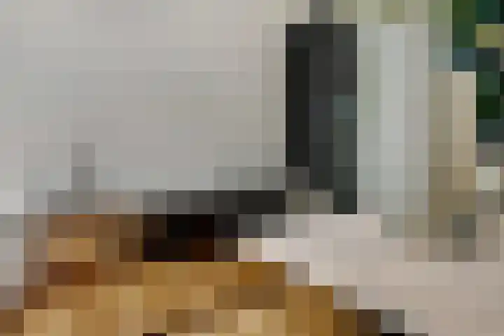 Nieuwe Markt 1 D Zwolle thumbnail 14
