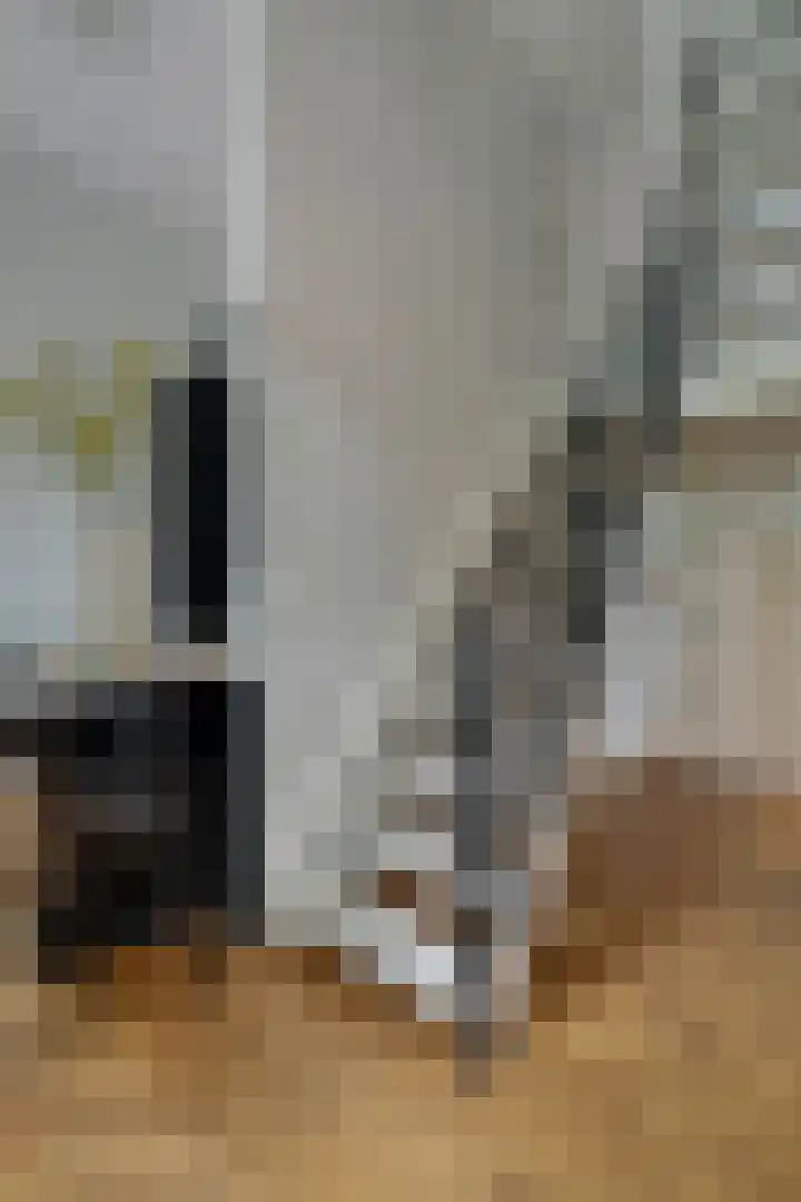 Nieuwe Markt 1 D Zwolle thumbnail 16
