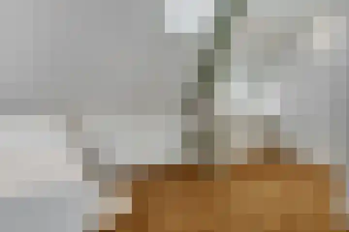 Nieuwe Markt 1 D Zwolle thumbnail 24