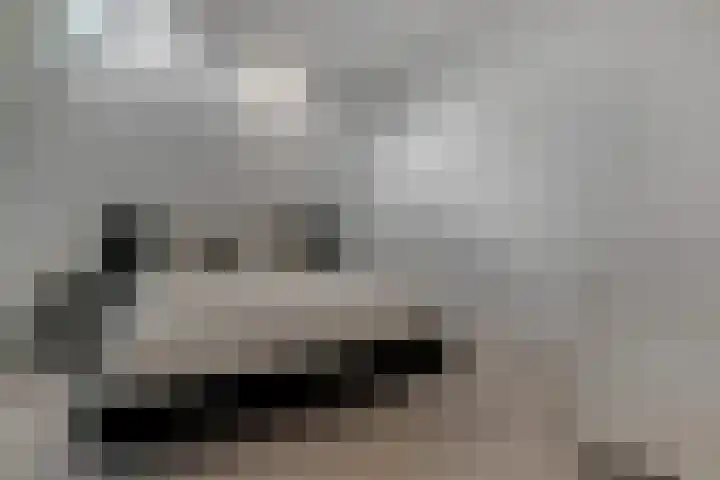 Nieuwe Markt 1 D Zwolle thumbnail 26