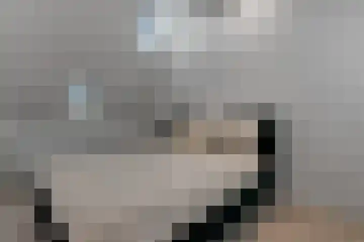 Nieuwe Markt 1 D Zwolle thumbnail 27
