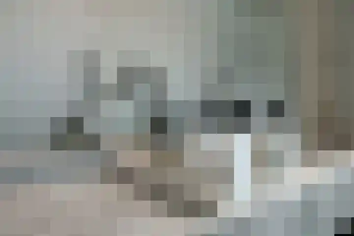 Nieuwe Markt 1 D Zwolle thumbnail 31