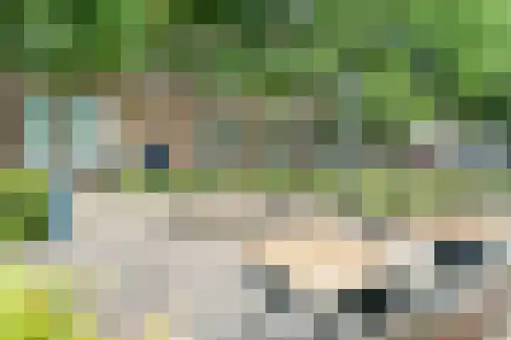 Nieuwe Markt 1 D Zwolle thumbnail 34