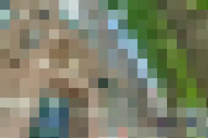 Nieuwe Markt 1 D Zwolle thumbnail 4