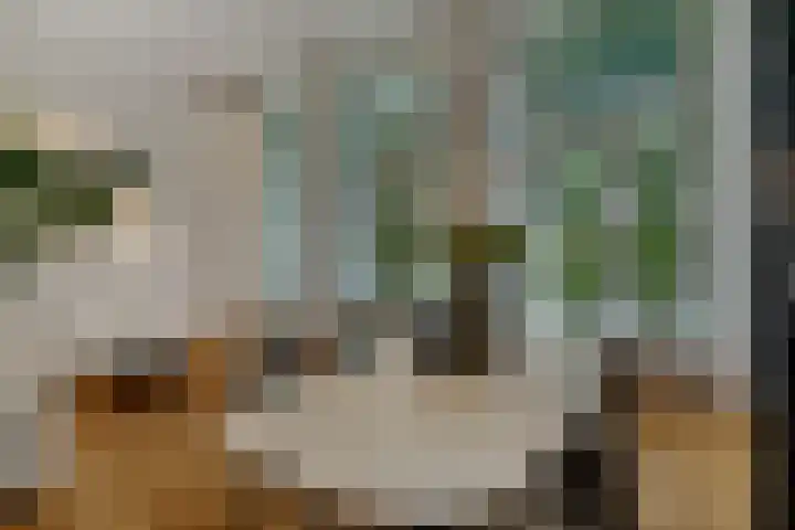 Nieuwe Markt 1 D Zwolle thumbnail 9