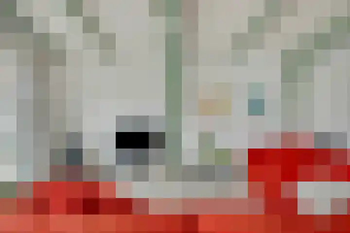 Nieuwe Markt 1 Kampen thumbnail 20