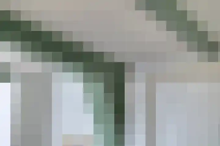 Nieuwe Markt 1 Kampen thumbnail 26