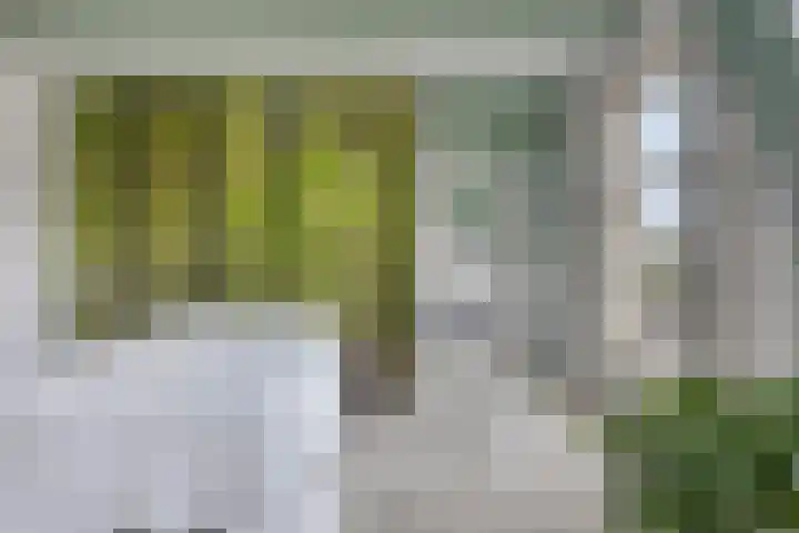Nieuwe Markt 1 Kampen thumbnail 37