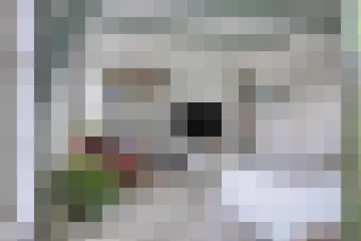 Nieuwe Markt 1 Kampen thumbnail 38