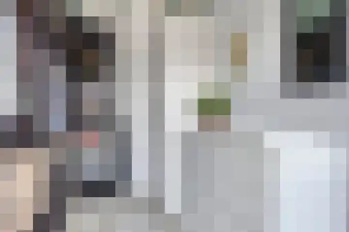 Nieuwe Markt 1 Kampen thumbnail 39