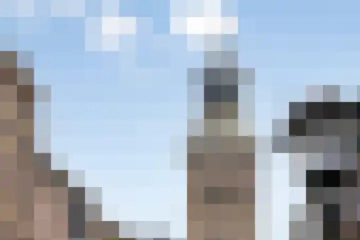 Nieuwe Markt 1 Kampen thumbnail 45