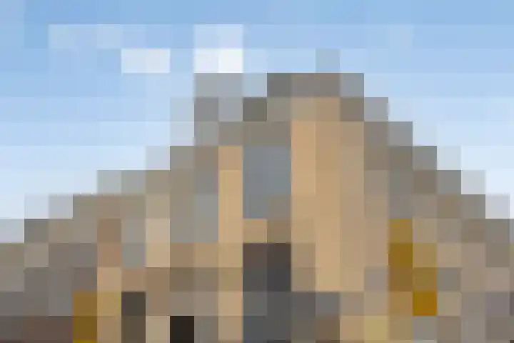 Nieuwe Markt 1 Kampen thumbnail 8