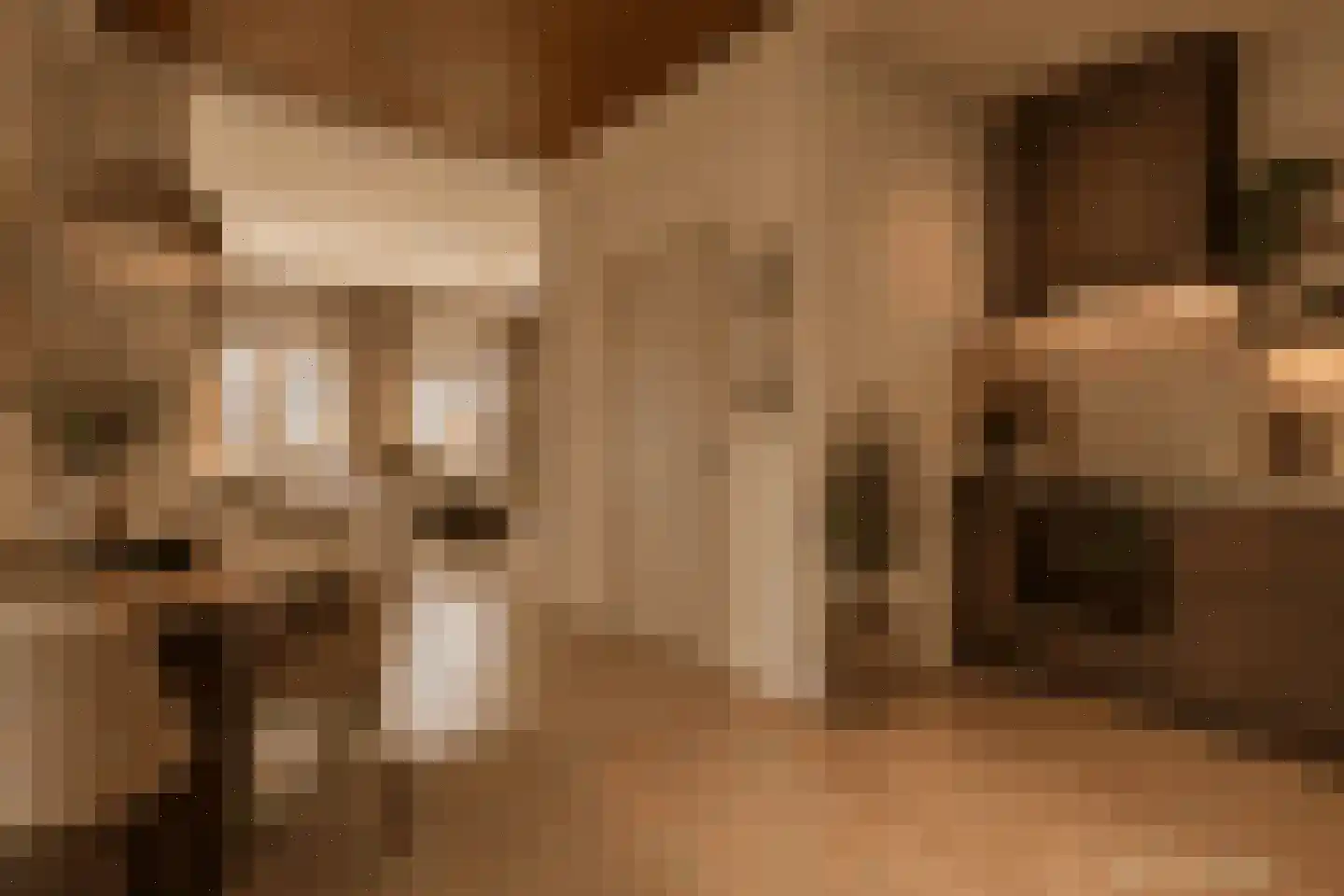 Nieuwe Markt 11 I Woerden thumbnail 12