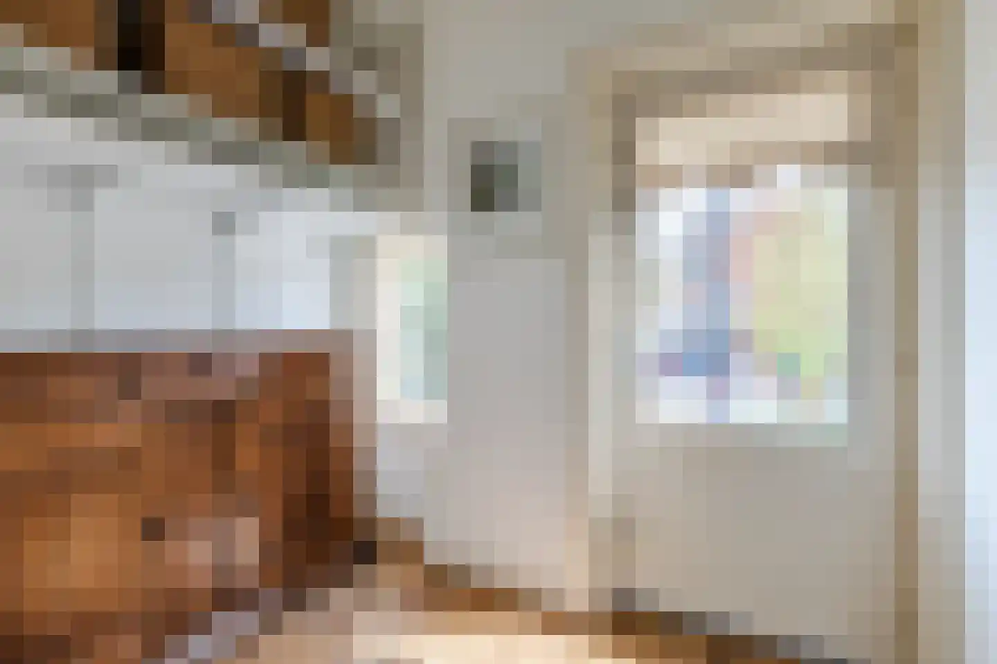 Nieuwe Markt 12 Bodegraven thumbnail 21