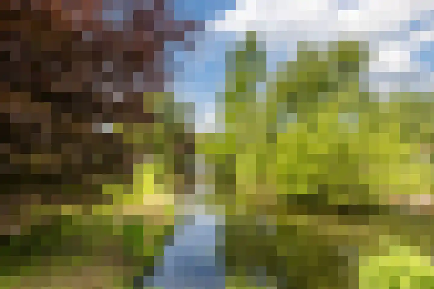 Nieuwe Markt 12 Bodegraven thumbnail 45