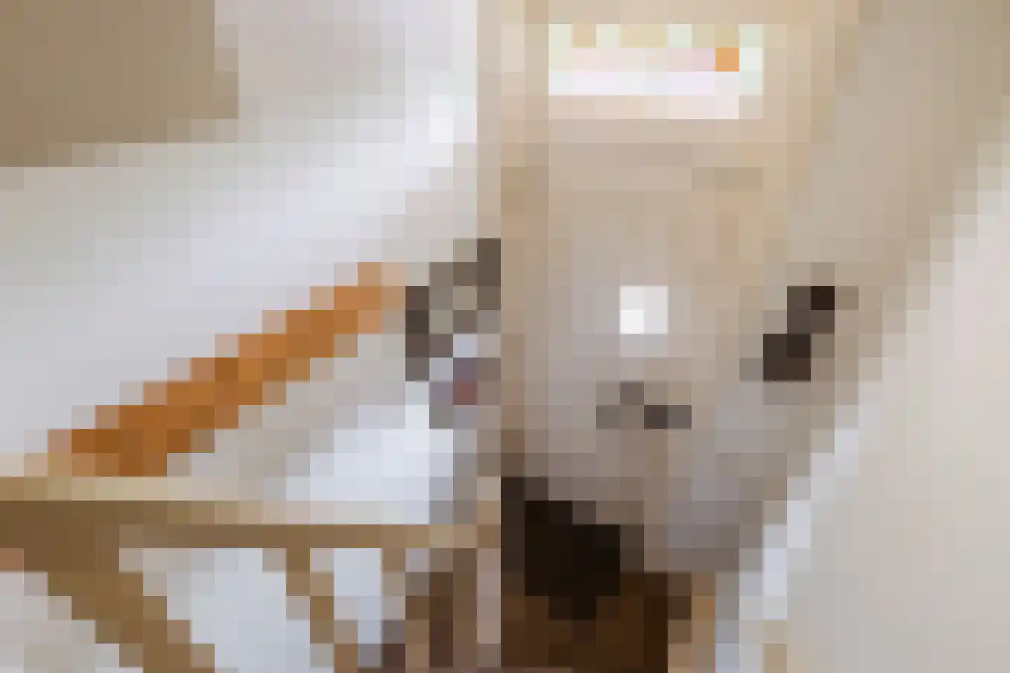 Nieuwe Markt 12 Bodegraven thumbnail 8