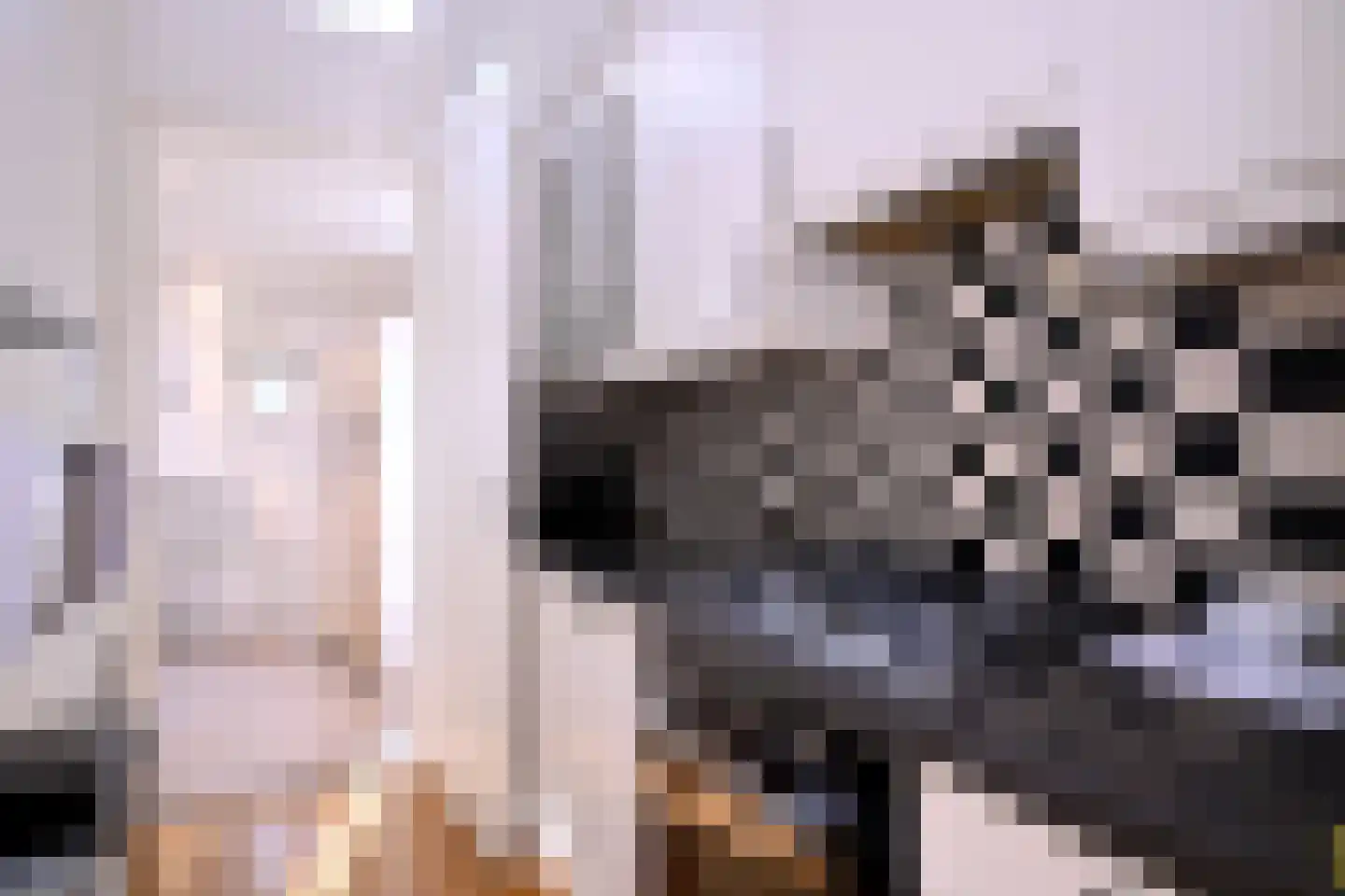 Nieuwe Markt 12 Deventer thumbnail 13