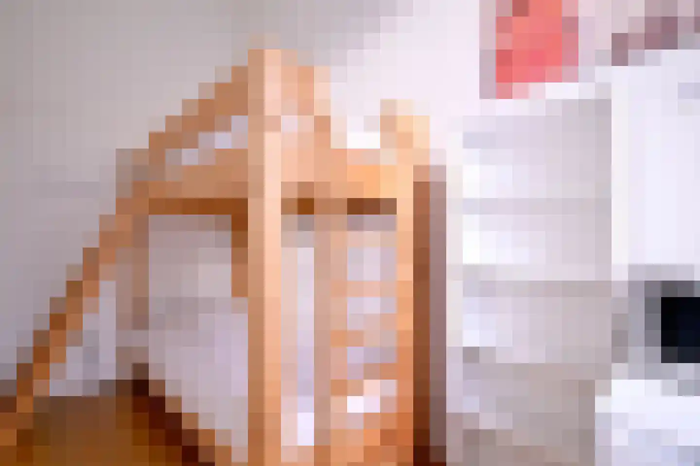 Nieuwe Markt 12 Deventer thumbnail 31