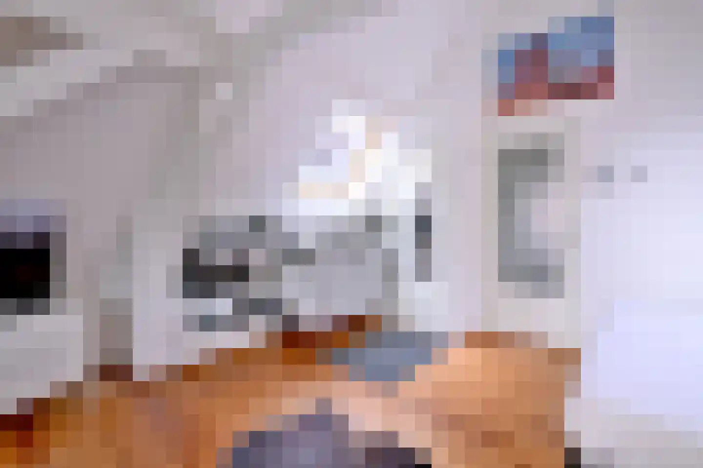 Nieuwe Markt 12 Deventer thumbnail 36