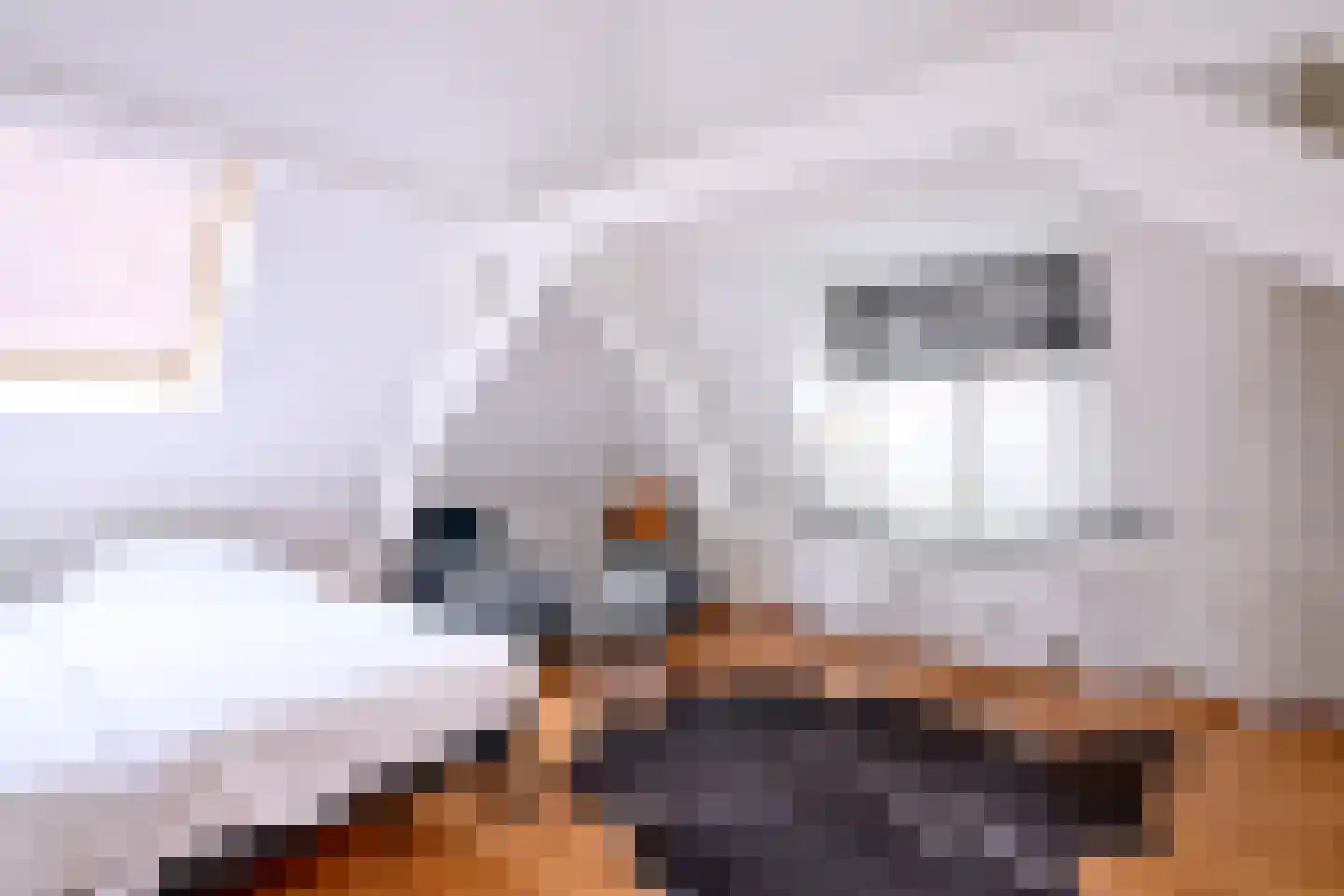 Nieuwe Markt 12 Deventer thumbnail 38