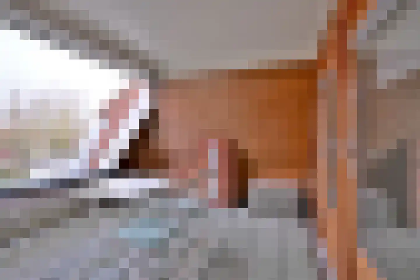 Nieuwe Markt 12 Deventer thumbnail 44