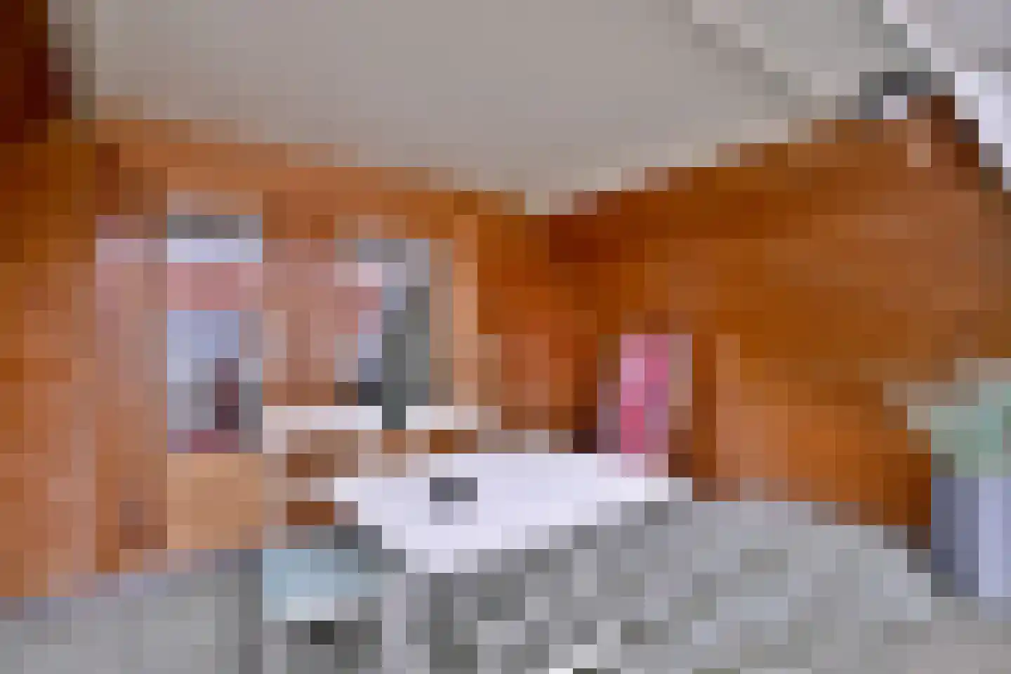 Nieuwe Markt 12 Deventer thumbnail 46