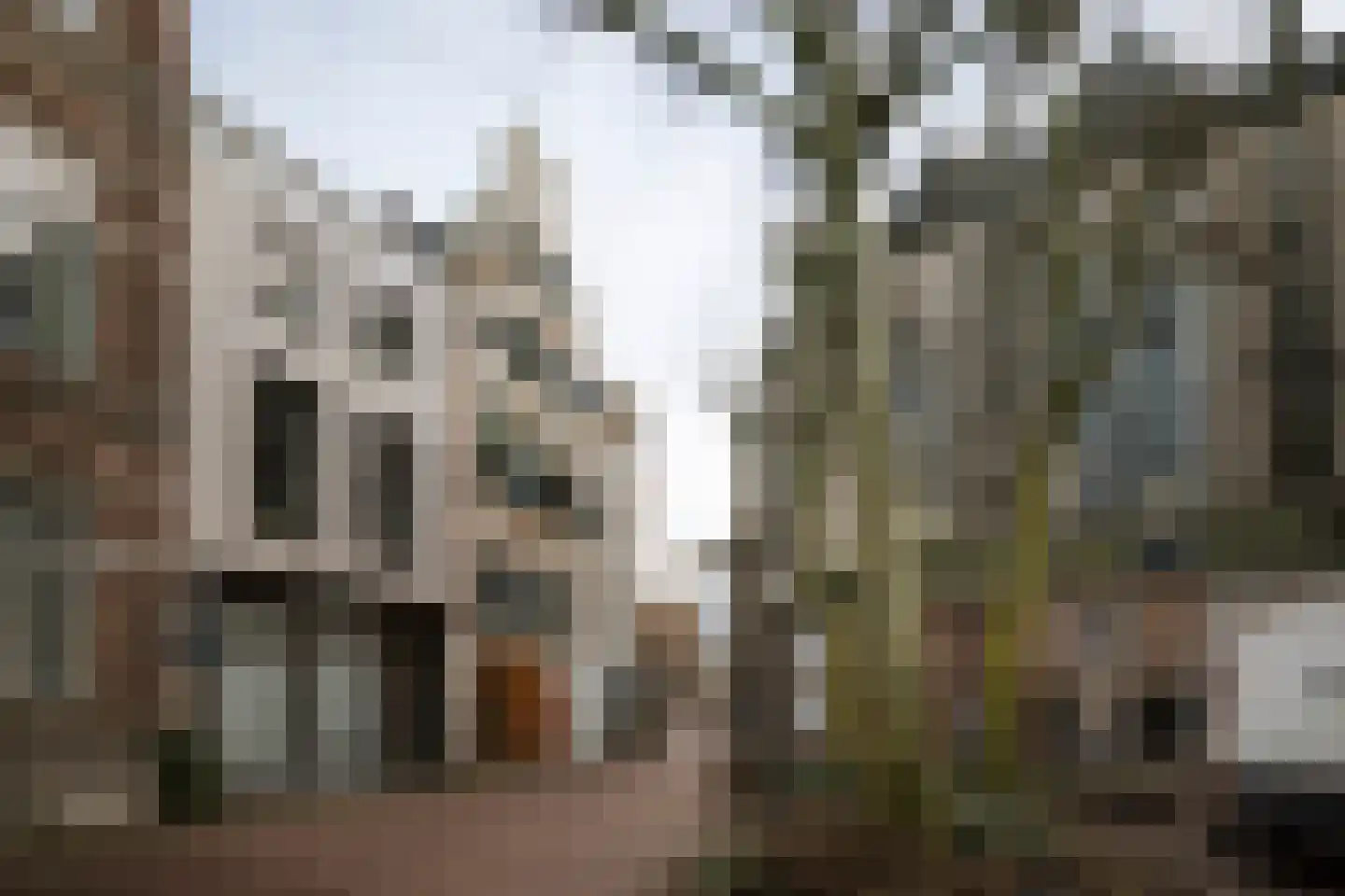 Nieuwe Markt 12 Deventer thumbnail 57