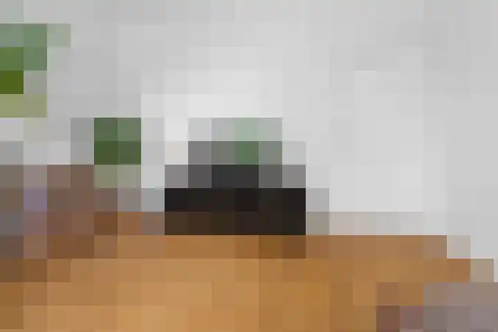 Nieuwe Markt 12 Nijmegen thumbnail 27
