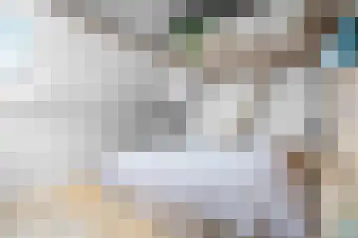 Nieuwe Markt 12 Nijmegen thumbnail 37