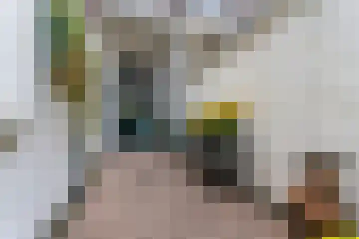 Nieuwe Markt 12 Nijmegen thumbnail 54